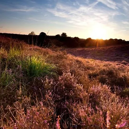 Bunckman Luxury 10 Persons Ośrodek wypoczynkowy