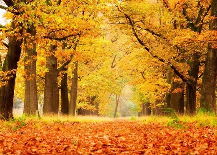 Bunckman Luxury 10 Persons Ośrodek wypoczynkowy Voorthuizen