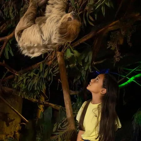 Bunckman Luxury 10 Persons Resort