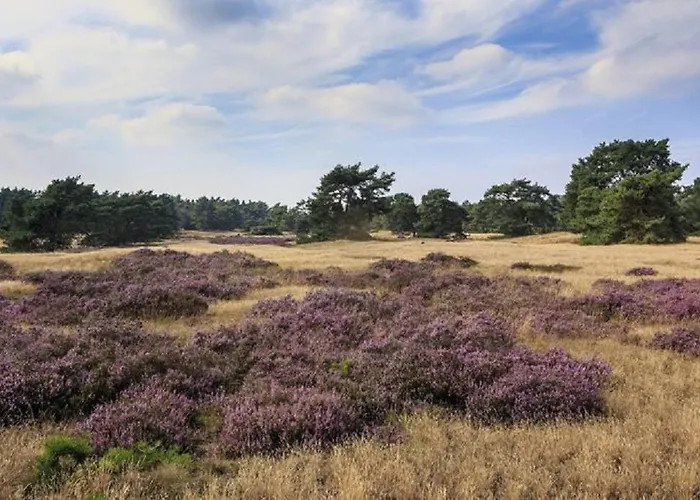 Bunckman Luxury 10 Persons Resort Voorthuizen