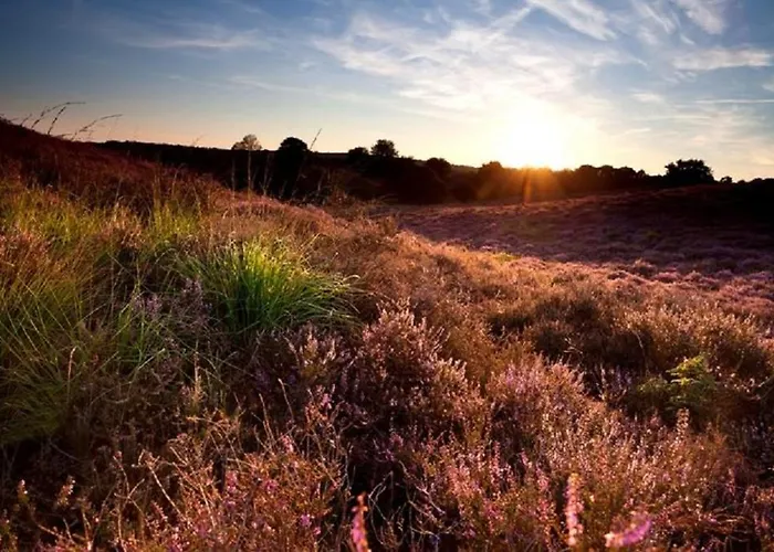 Bunckman Luxury 10 Persons Resort