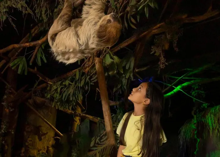 Bunckman Luxury 10 Persons Resort